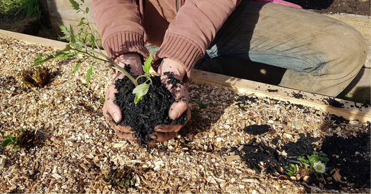 Inoculating Biochar with Effective Microorganisms (EM•1®)