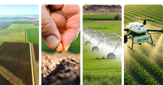 Reimbursement Program | Federal R&D Tax Credit (Internal Revenue Code Section 41) applied to agriculture