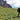 walking in the mountains