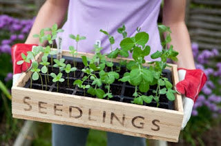 gardening