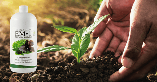 Understanding Soil Inoculants: Exploring Their Purpose and Mechanisms