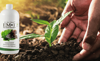Understanding Soil Inoculants: Exploring Their Purpose and Mechanisms