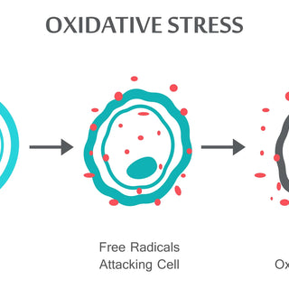 oxidative-stress
