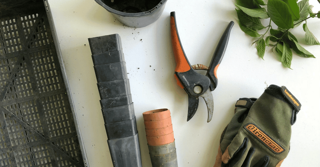 Fall-Gardening-Tips