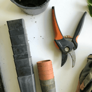 Fall-Gardening-Tips
