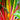 vegetables