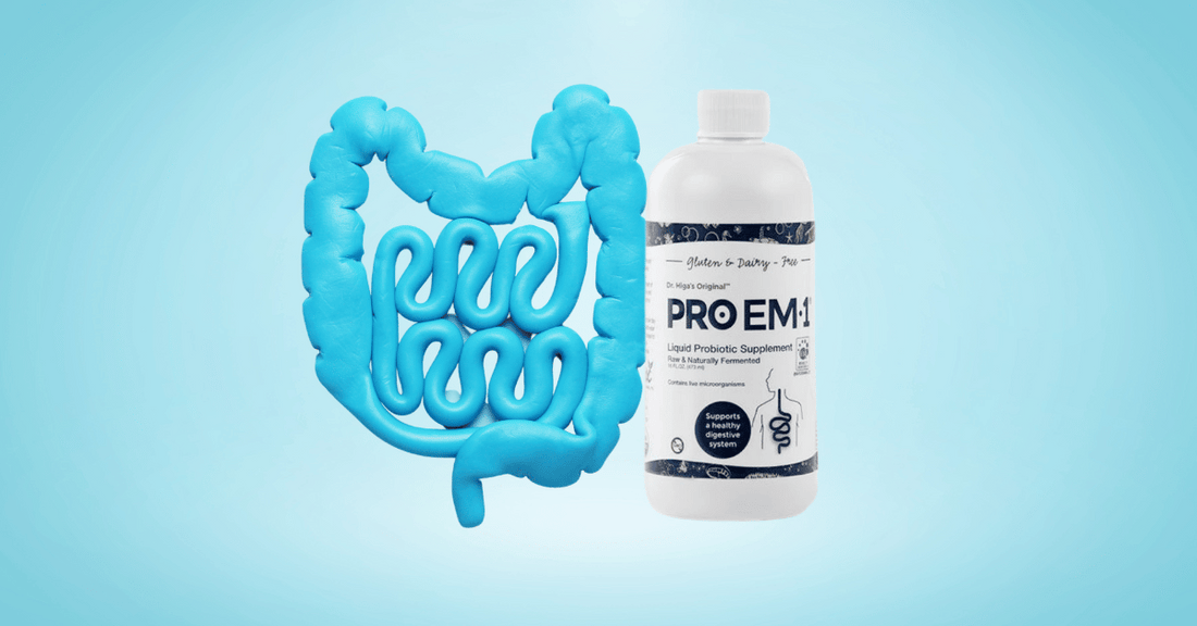 Unveiling the Gut Connection: Probiotics and Digestive Health
