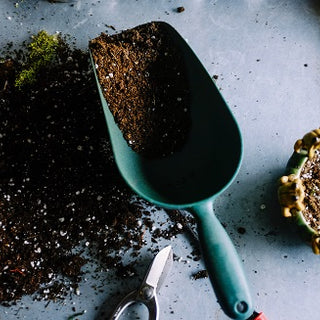 Healthy Garden soil