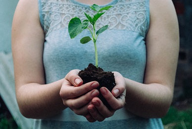 healthy soil