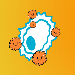 oxidative