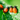Natural and Organic Pest Control