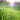 garden-solutions