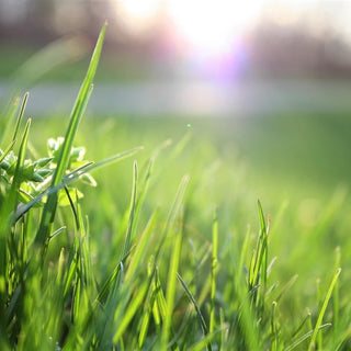 garden-solutions