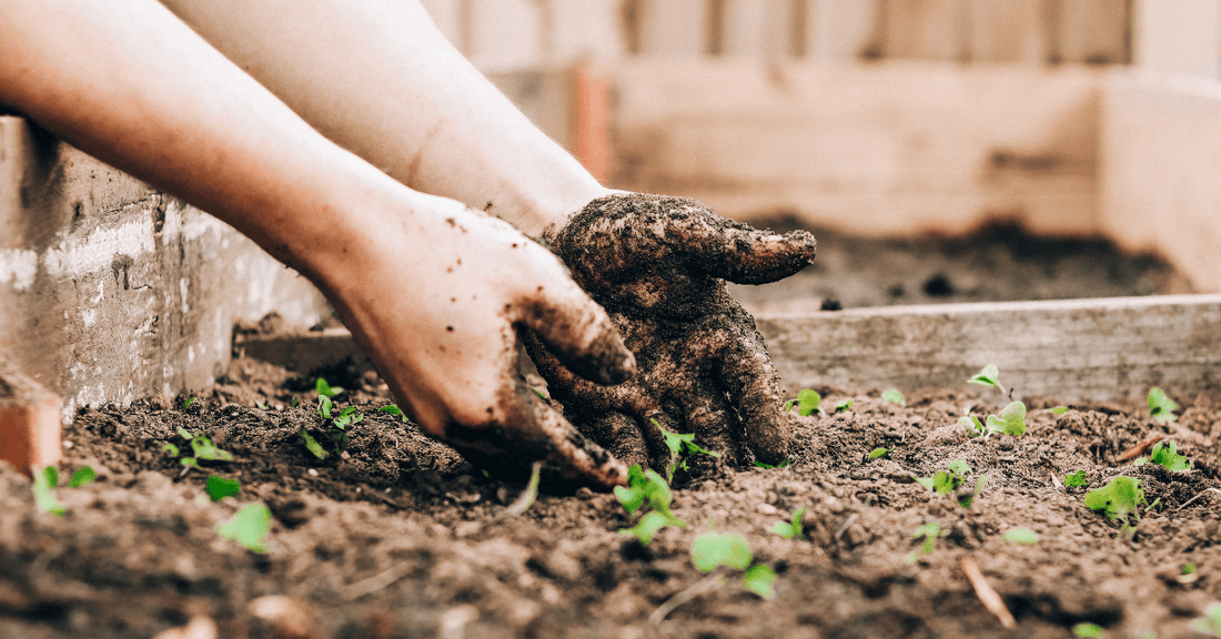 The Power of Nature Farming