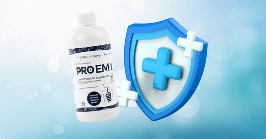 The Probiotic Powerhouse: Strengthening Immunity in 2024