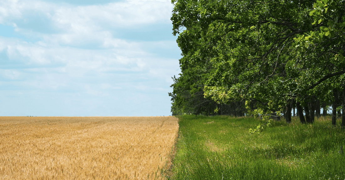 Farming-Practices