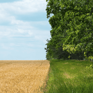 Farming-Practices