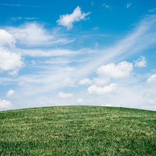 green lawn and blue sky