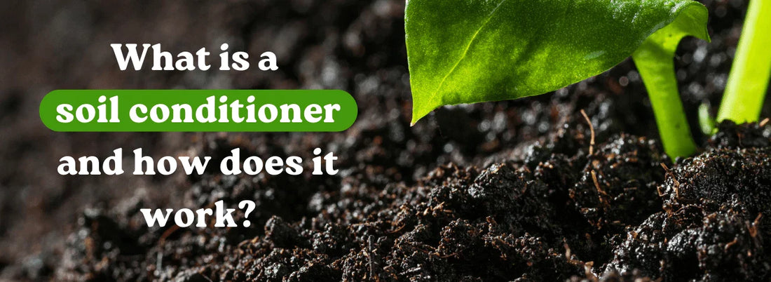 What Is a Soil Conditioner and How Does it Work?