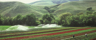 field