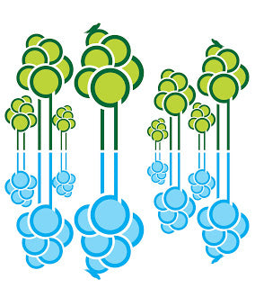 bioremediation