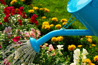 watering your garden