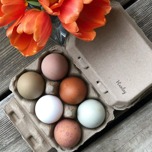 My Pet Chicken Egg Cartons Half Dozen Egg Cartons - Henlay Blank Flat Top, Six Pack, 2 colors, 20 or 100