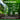 TeraGanix Soil Amendment EM-1 Microbial Inoculant Soil Amendment
