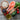 Healthy Diet Tips: The Importance of Enzymes
