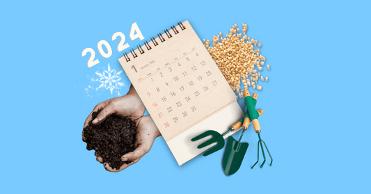 Winter Gardening Calendar: Your Month-by-Month Guide for Organic Garden Care