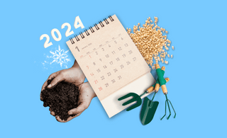 Winter Gardening Calendar: Your Month-by-Month Guide for Organic Garden Care