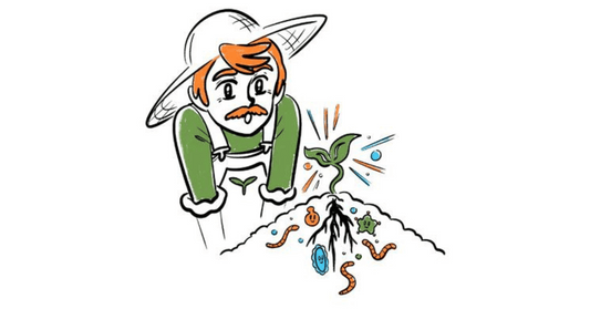 How microbes help release soil nutrients and reduce the need for fertilizers