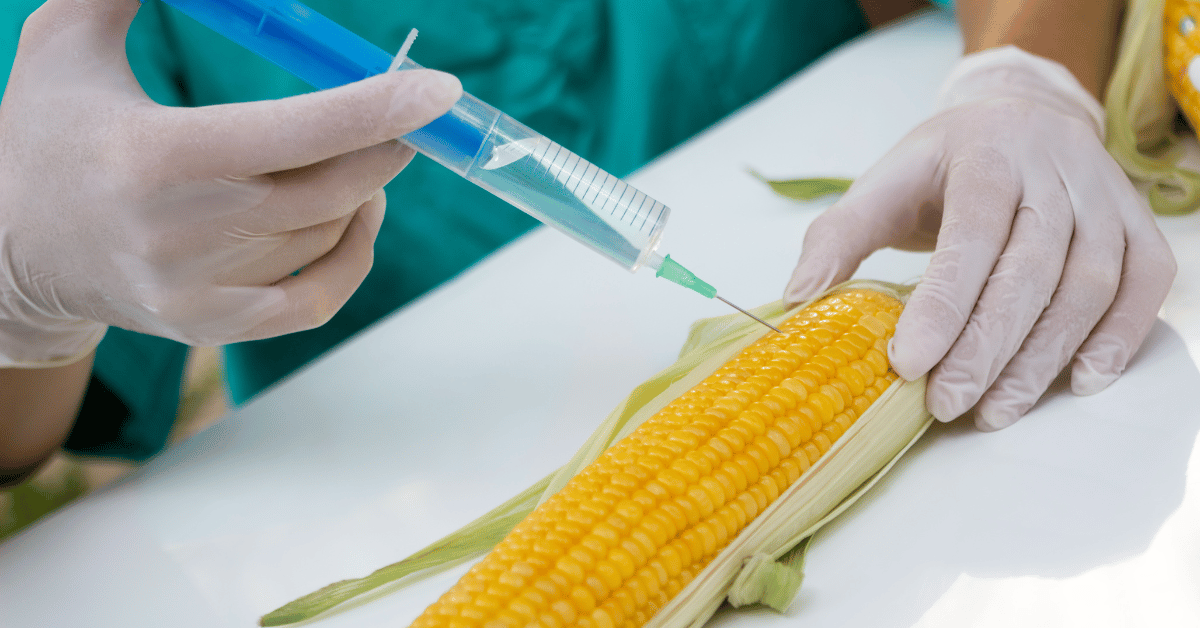 Unveiling the Risks of Genetic Engineering in Microbes: A Closer Look ...