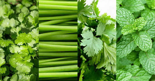 Cultivating Culinary Delights: A Guide to Early Herb Gardening with EM-1®
