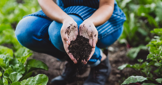 Is Your Soil Conscious