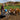 livestock