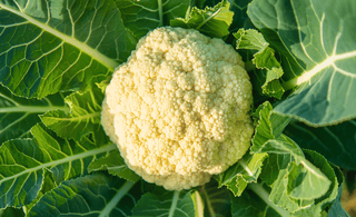 Mastering Cauliflower with EM-1®