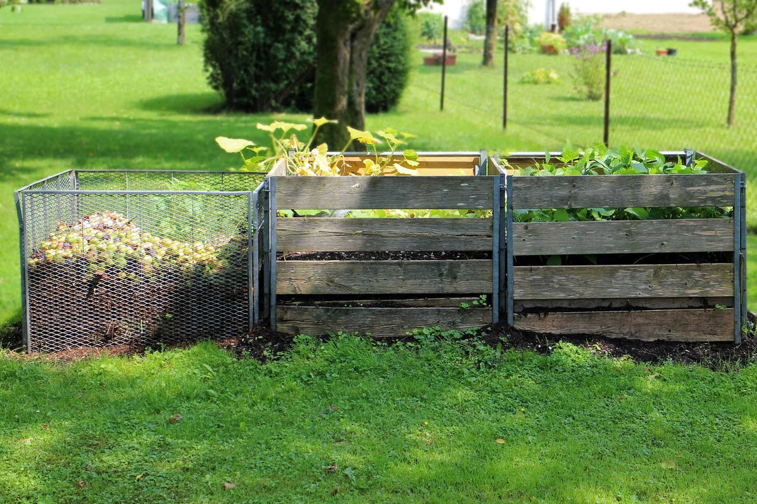 Everything You Need to Know About Composting at Home