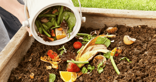 Beginner's Guide to Composting: Turn Kitchen Scraps into Garden Gold