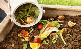 Beginner's Guide to Composting: Turn Kitchen Scraps into Garden Gold