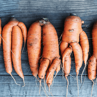 Why Are My Carrots Deformed? Tips to Avoid Twisted and Stunted Carrots