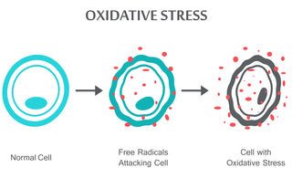 oxidative-stress