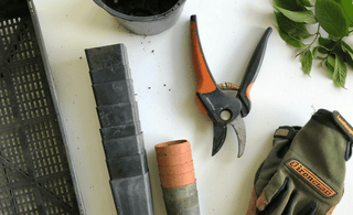 Fall-Gardening-Tips
