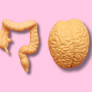 The Intricate Link Between Gut Health and Mental Well-being: Unveiling the Gut-Brain Connection