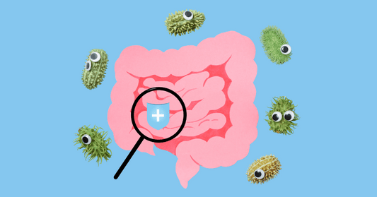 The Ultimate Guide to Gut Health: Understanding the Microbiome