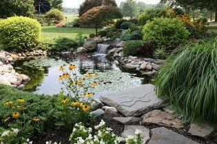perfect pond