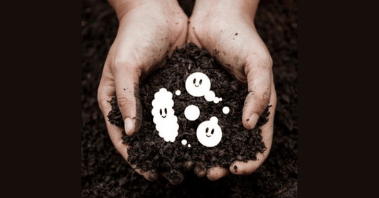 5 Ways Beneficial Microorganisms Improve Soil Health