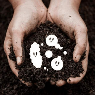 5 Ways Beneficial Microorganisms Improve Soil Health