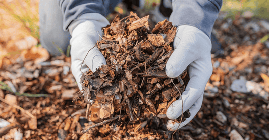 Harnessing Early Spring's Magic: The Ultimate Guide to Mulching Techniques and Benefits
