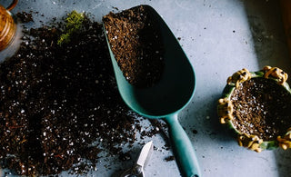 Healthy Garden soil